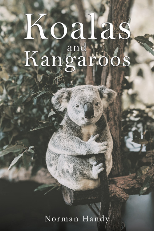 Book Title 26