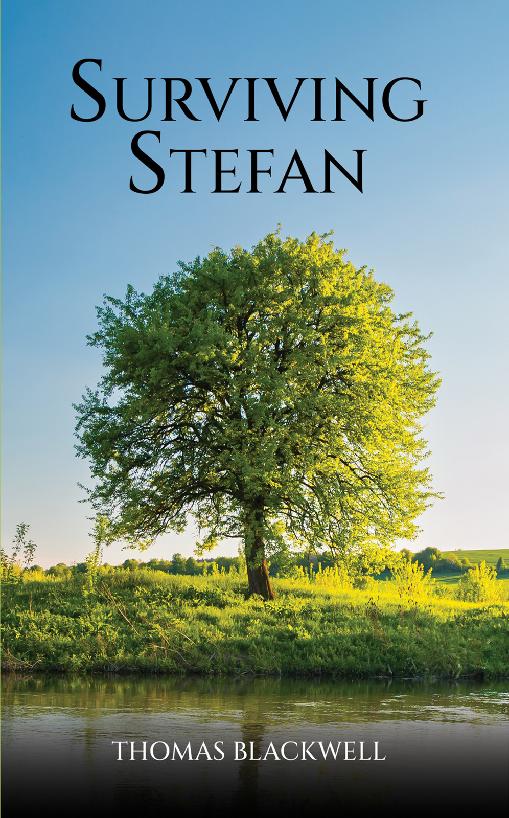Book Title 34