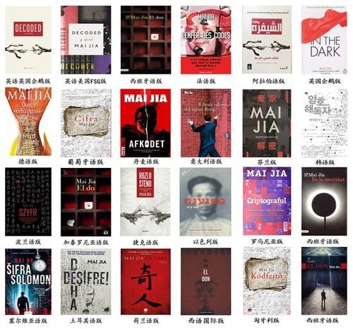 麦家《解密》外文版